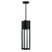 Hinkley Outdoor Shelter Hanging Light 1322BK