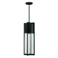 Hinkley Outdoor Shelter Extra Large Hanging Light 1328BK-LED