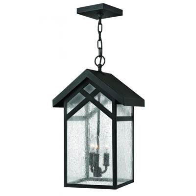 Hinkley Outdoor Holbrook Hanging Light 1792BK-GU24