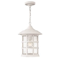 Hinkley Outdoor Freeport Hanging Light 1802CW-LED