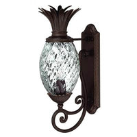 Hinkley Outdoor Plantation Small Wall Mount 2220CB