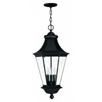 Hinkley Outdoor Senator Hanging Light 2502BK