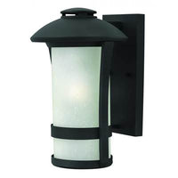 Hinkley Outdoor Chandler Medium Wall Mount 2704BK-LED