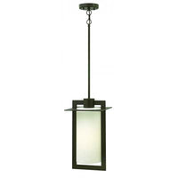 Hinkley Outdoor Colfax Hanging Light 2922BZ-LED