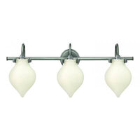 Hinkley Congress Bath Three Light 50032AN